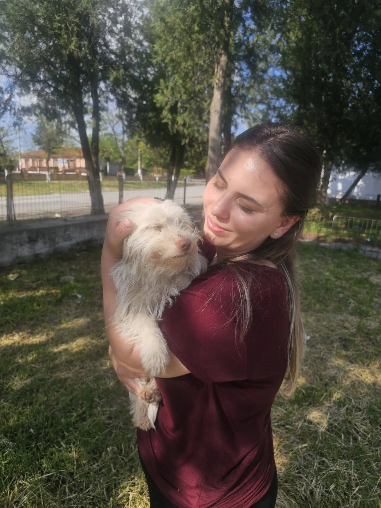 Rescued dog with its adoptive family