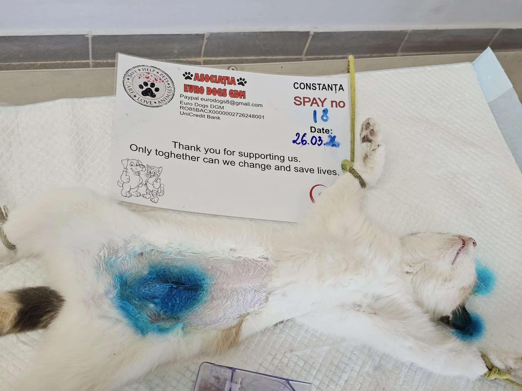 Sterilizare 18 — 26.03.2026