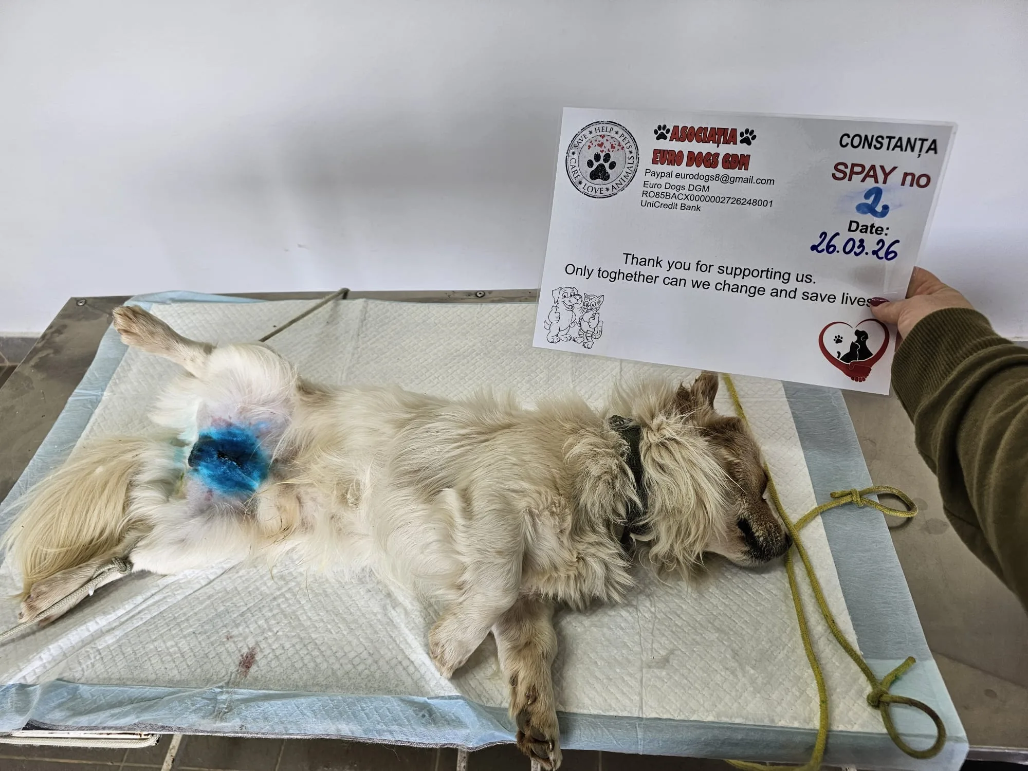 Sterilizare 2 — 26.03.2026