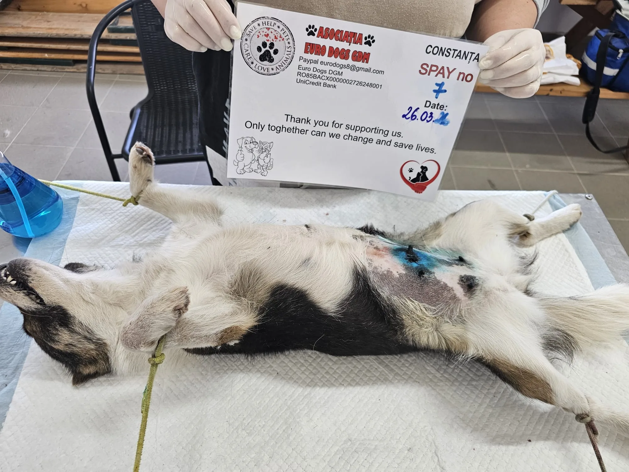 Sterilizare 7 — 26.03.2026