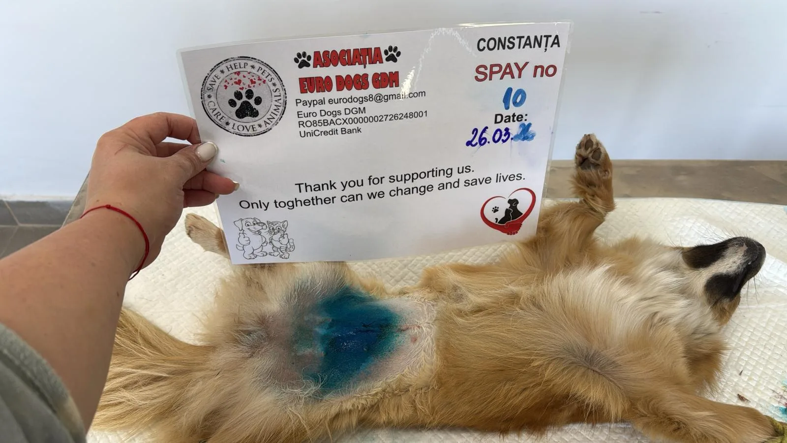 Sterilizare 10 — 26.03.2026