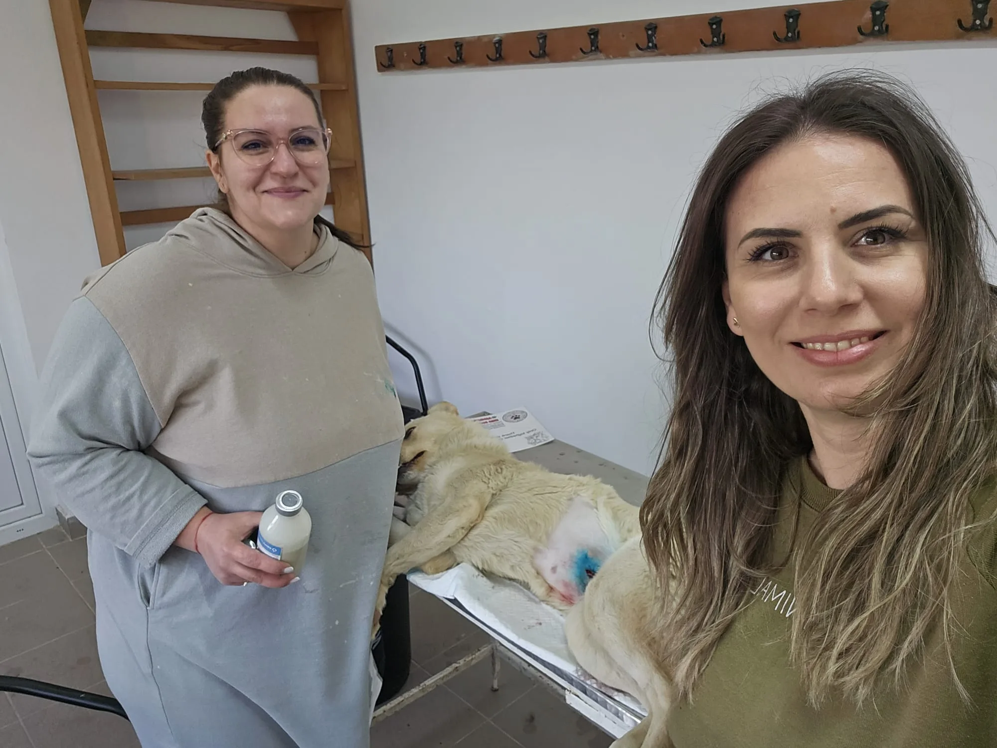 Coordonatoare EURO DOGS DGM mângâind un câine alb după sterilizare, în cadrul campaniei din Pantelimon