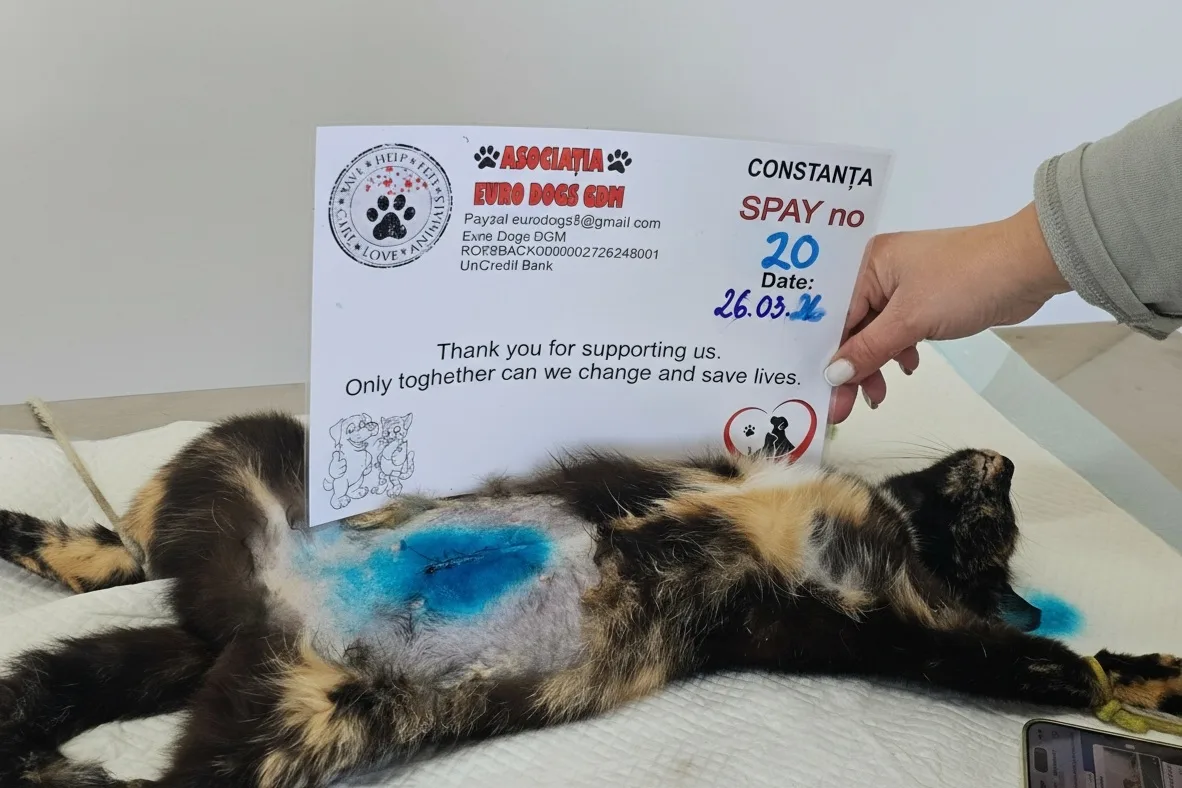 Sterilizare 20 — 26.03.2026