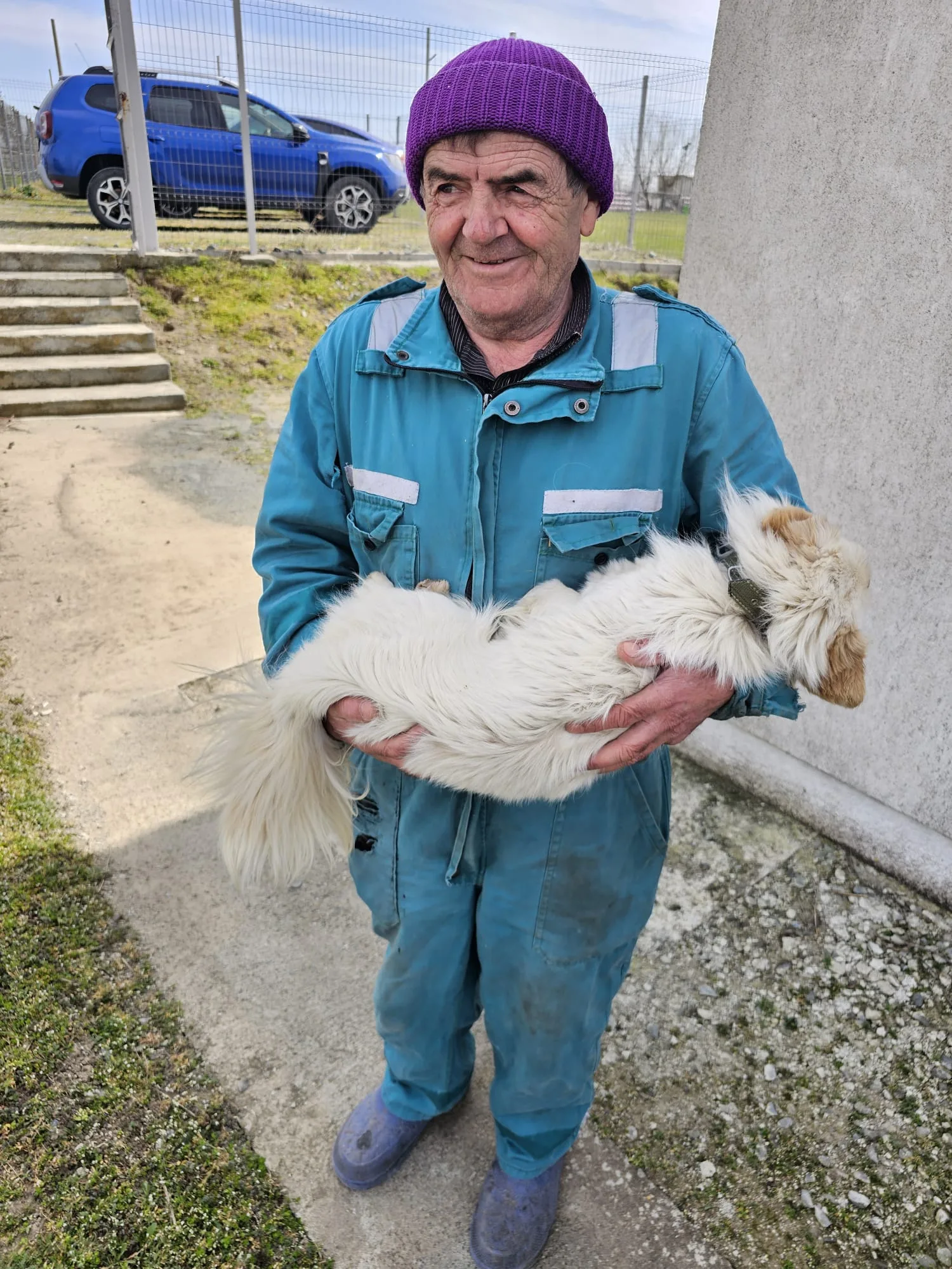 Îngrijitor ținând în brațe un cățel după sterilizare