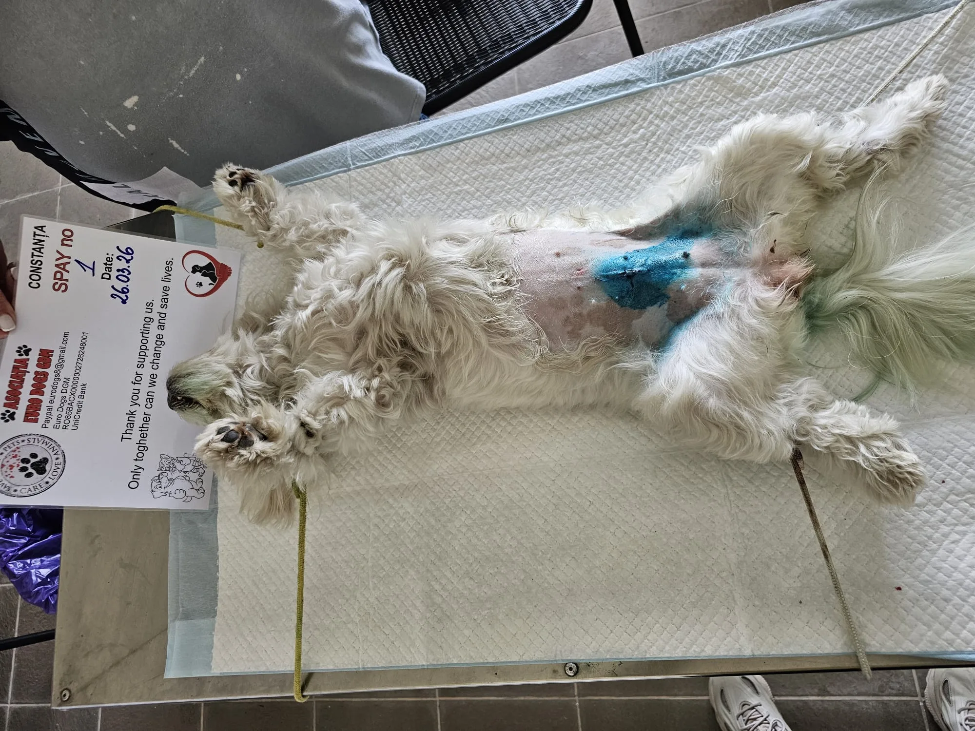 Sterilizare 1 — 26.03.2026