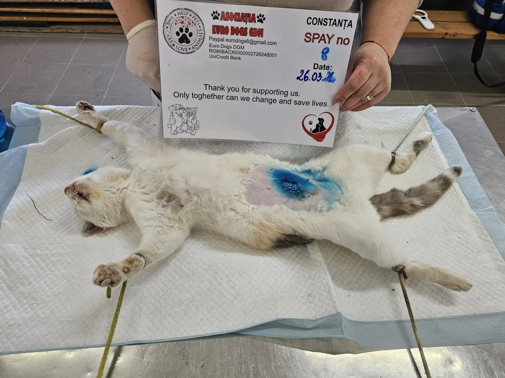 Sterilizare 8 — 26.03.2026