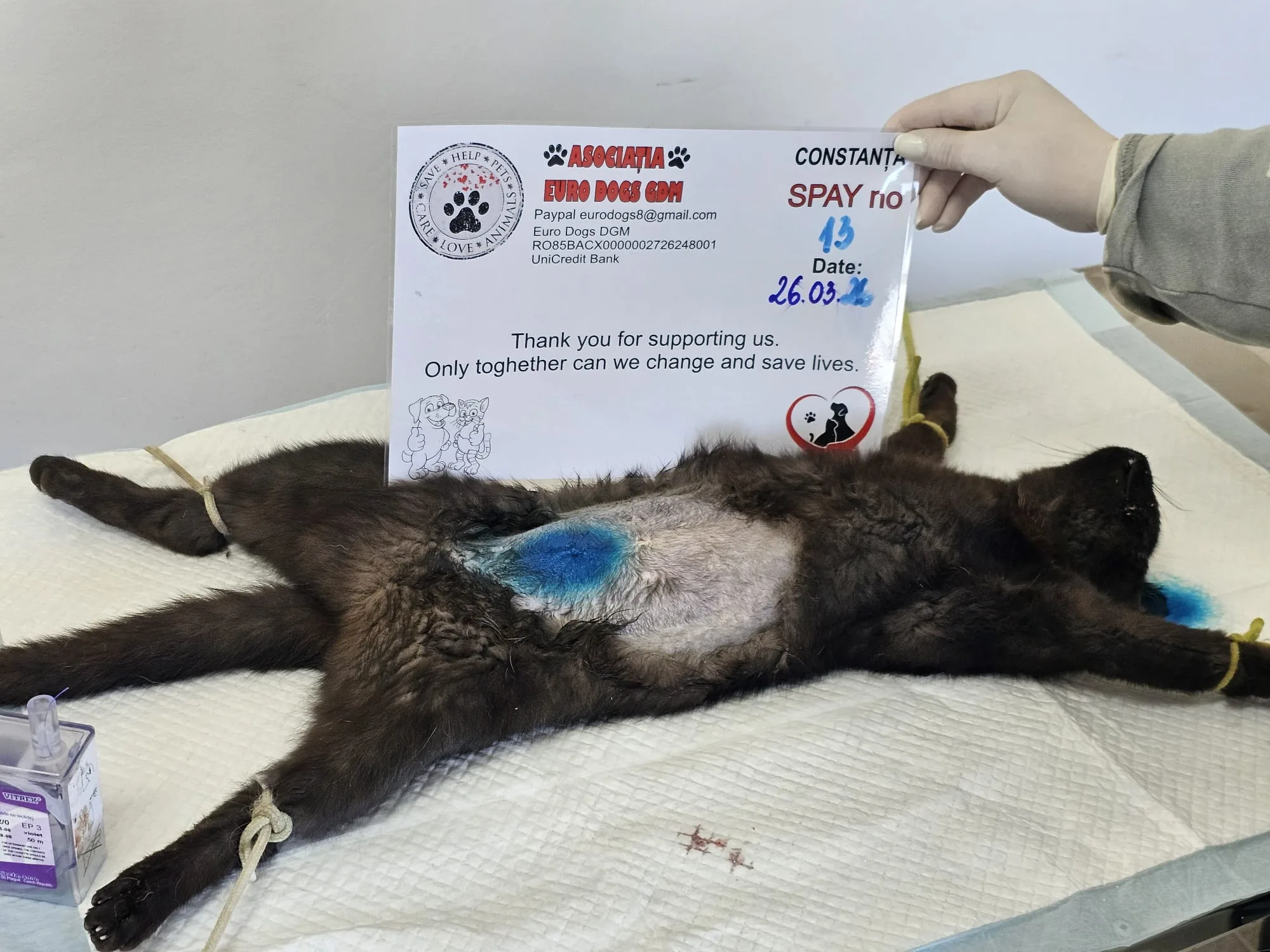Sterilizare 13 — 26.03.2026