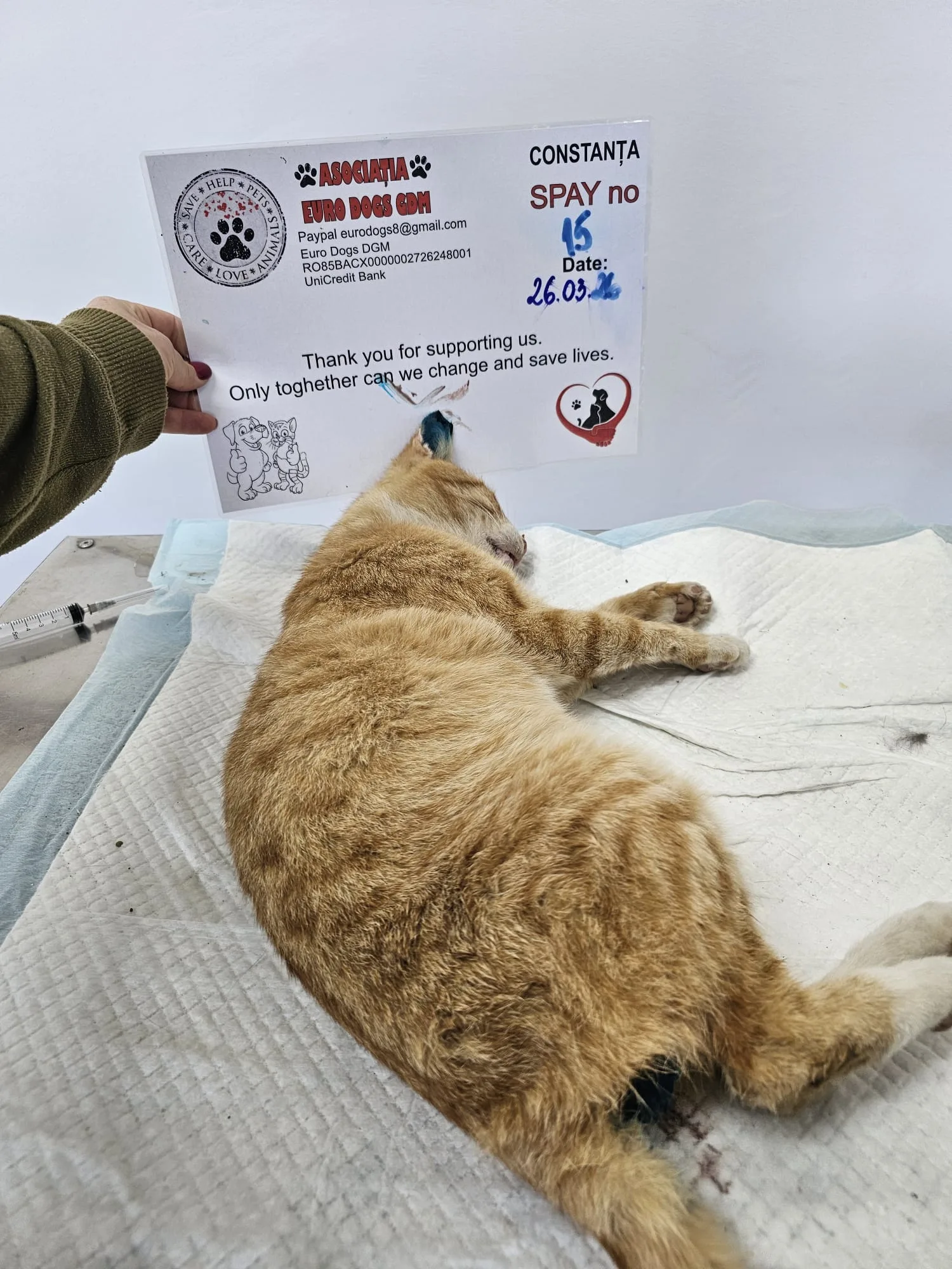 Sterilizare 15 — 26.03.2026