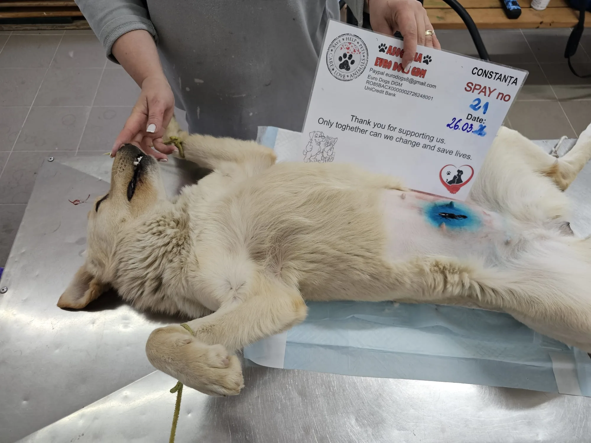 Sterilizare 21 — 26.03.2026