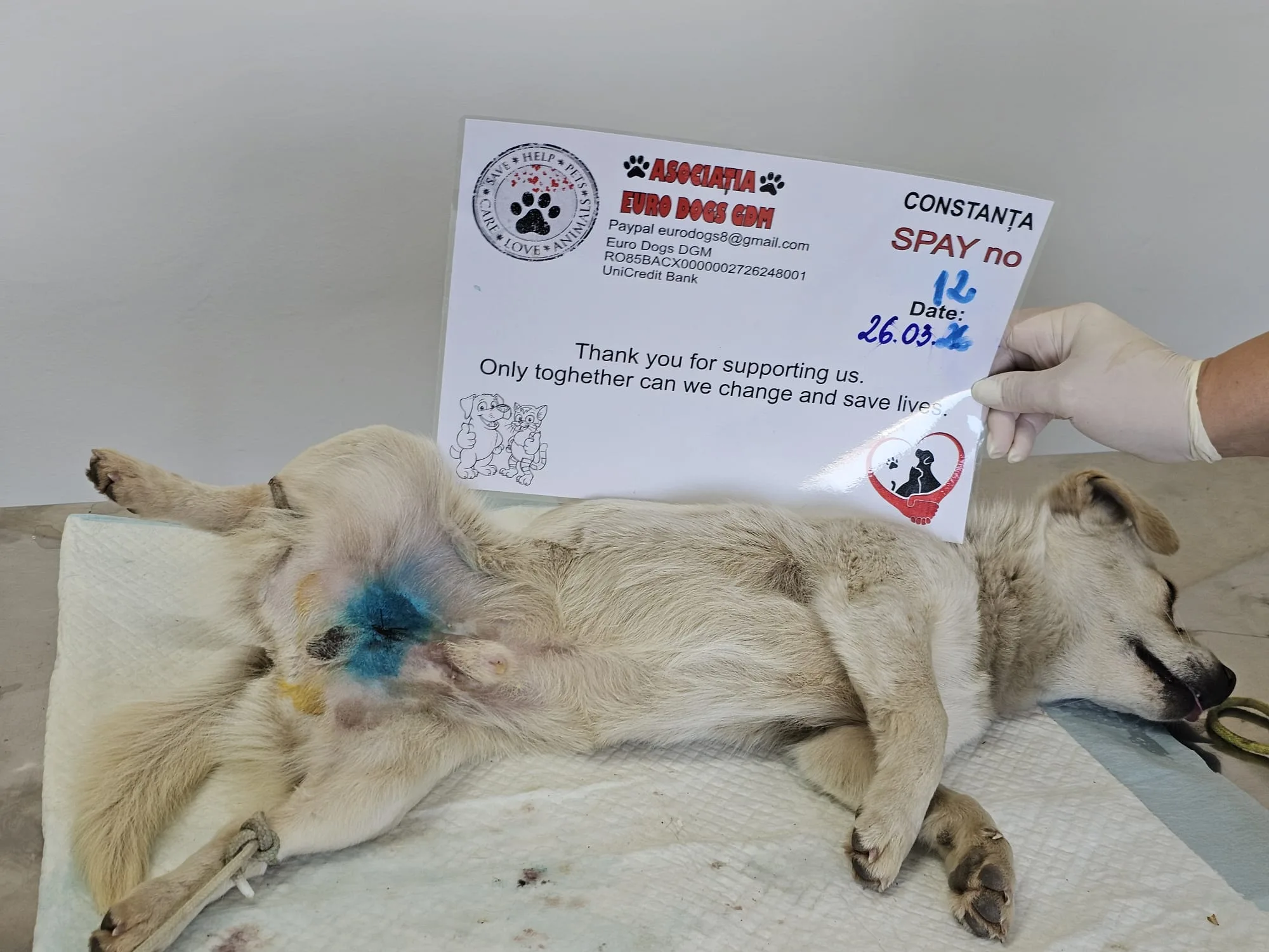 Sterilizare 12 — 26.03.2026